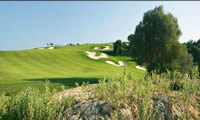 amendoeira faldo golf course